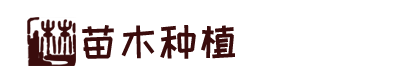 ag捕鱼体育下载