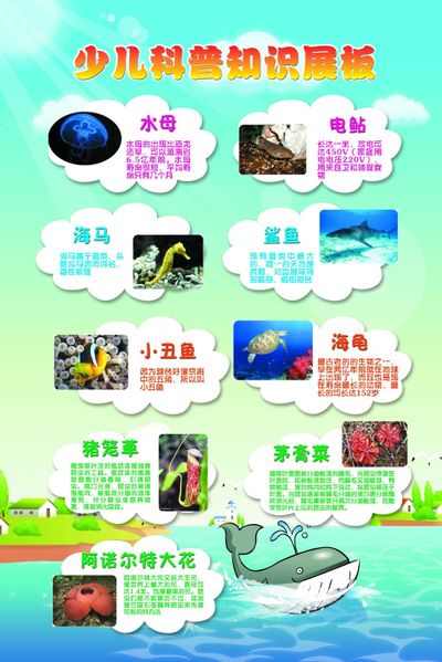 应急科普 面对强降雨这些安全知识要知道
